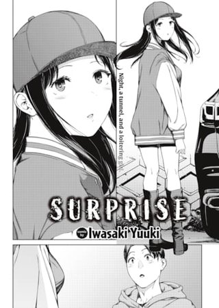 Surprise Hentai Cover Image