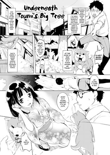 Underneath Toumi's Big Tree