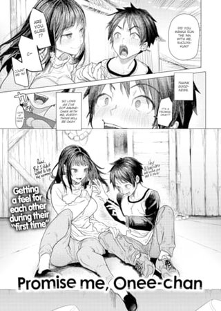 Promise Me, Onee-chan Hentai Cover Image