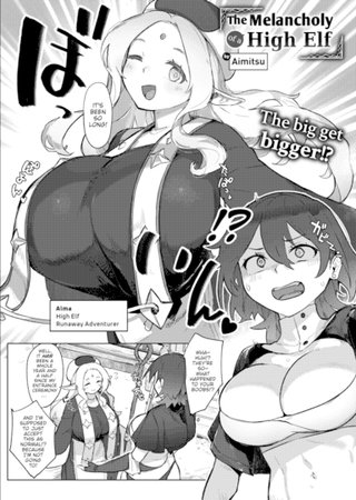 The Melancholy of a High Elf Hentai Cover Image