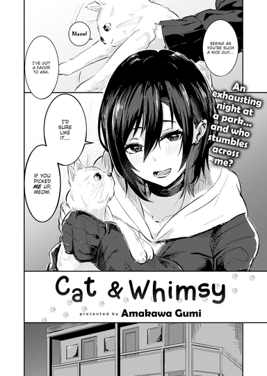 Cat & Whimsy