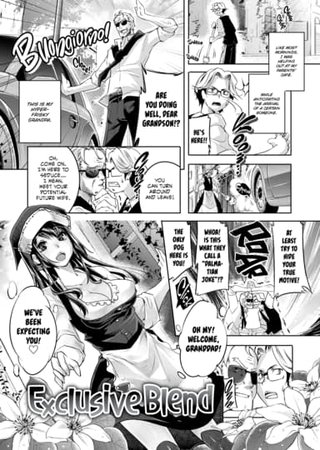 Exclusive Blend Hentai Cover Image