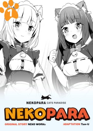 NekoPara - Finale: The Promise Hentai Cover Image