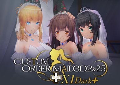 Custom Order Maid 3D2&2.5+X1 Dark+