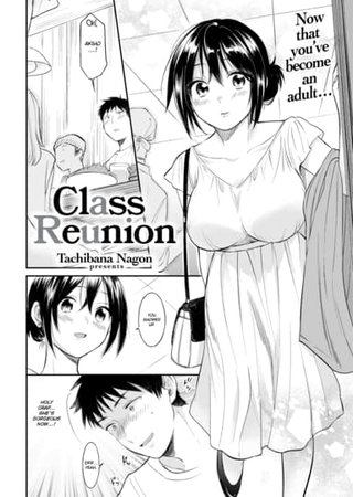 Class Reunion Hentai Cover Image