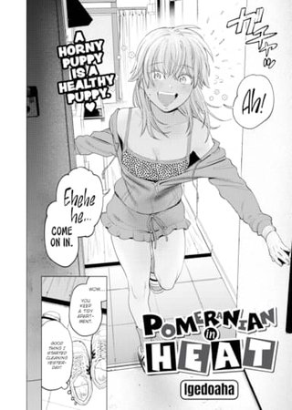 Pomeranian in Heat Hentai Cover Image