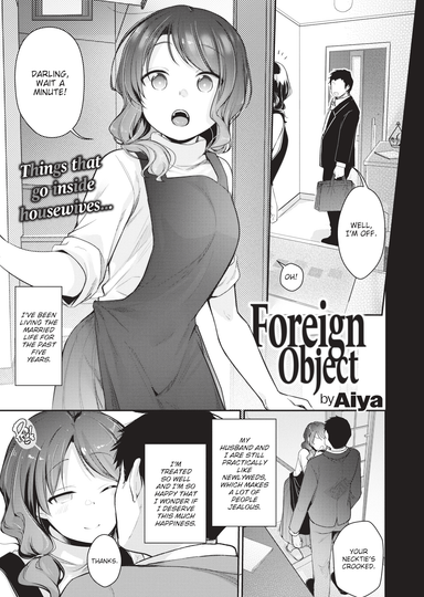 Foreign Object Hentai Poster Image