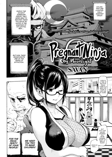 Pregnant Ninja by Moonlight Hentai Poster Image