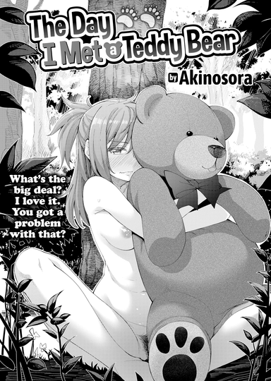 The Day I Met a Teddy Bear
