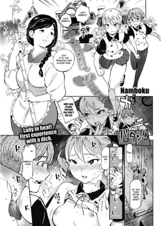 Princess' Secret Hentai Cover Image