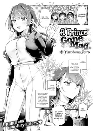 A Prince Gone Mad Hentai Cover Image