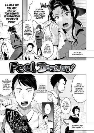 Feel Destiny! Hentai Cover Image
