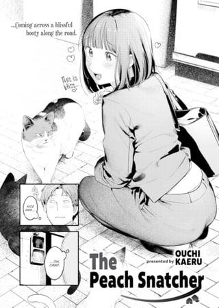 The Peach Snatcher Hentai Cover Image