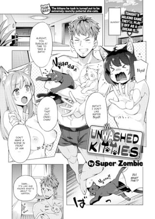 Unwashed Kitties Hentai Cover Image