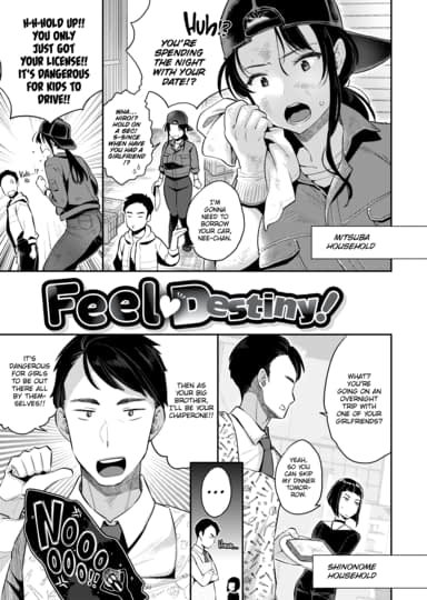 Feel Destiny!