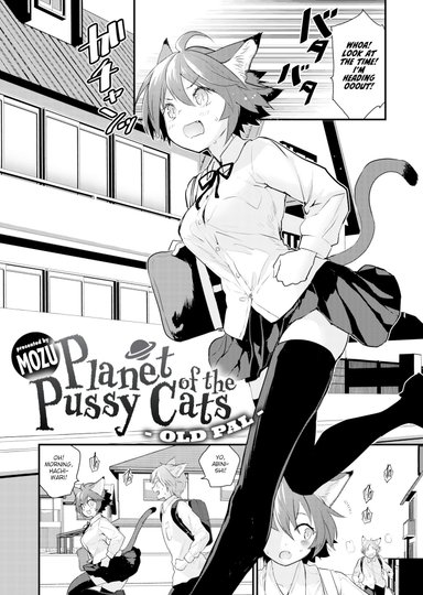 Planet of the Pussy Cats - Old Pal