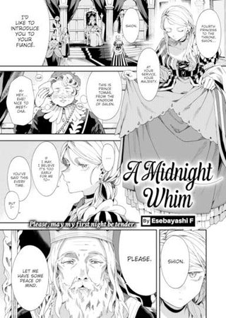 A Midnight Whim Hentai Cover Image