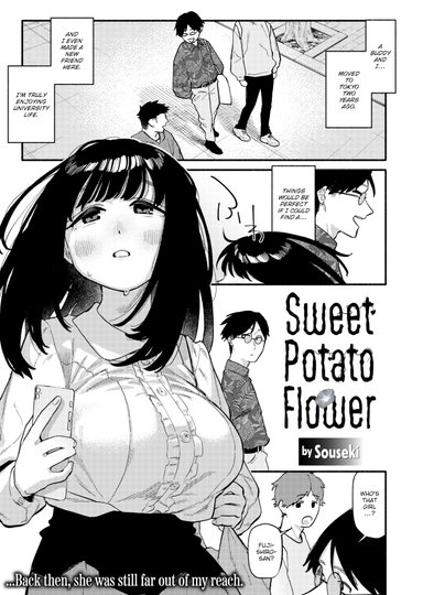 Sweet Potato Flower