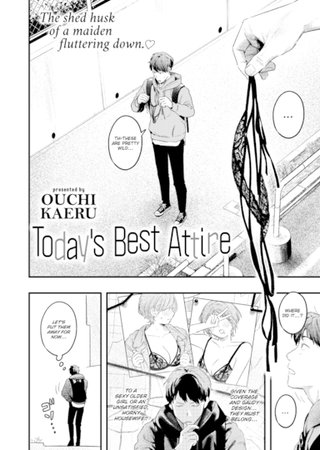 Today's Best Attire Hentai Cover Image