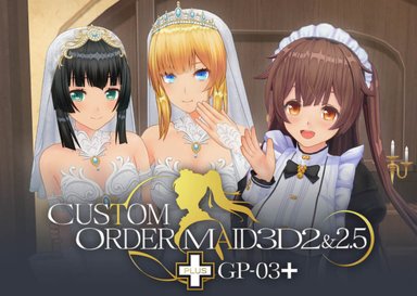 CUSTOM ORDER MAID 3D2&2.5+ GP-03+