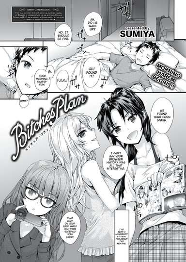Bitches Plan