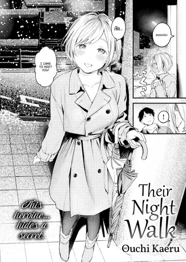 Their Night Walk