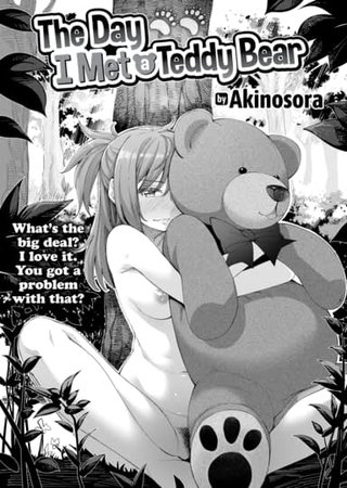 The Day I Met a Teddy Bear Hentai Cover Image