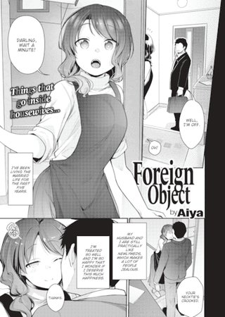 Foreign Object Hentai Cover Image