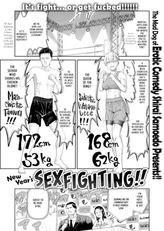 New Year's Sexfighting!! Hentai Cover Image