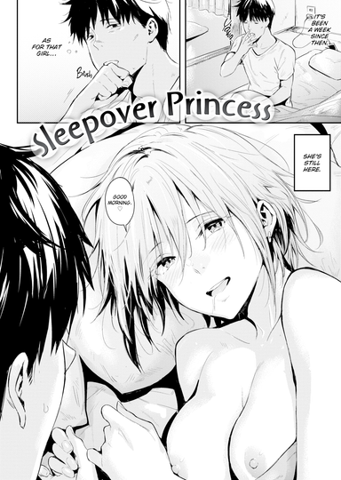 Sleepover Princess