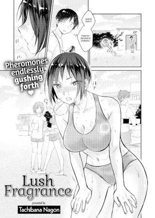 Lush Fragrance Hentai Cover Image