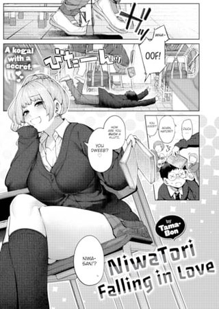 NiwaTori Falling in Love Hentai Cover Image