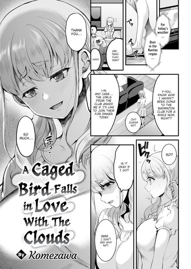 A Caged Bird Falls in Love With the Clouds