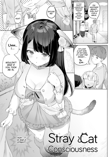 Stray Cat Consciousness