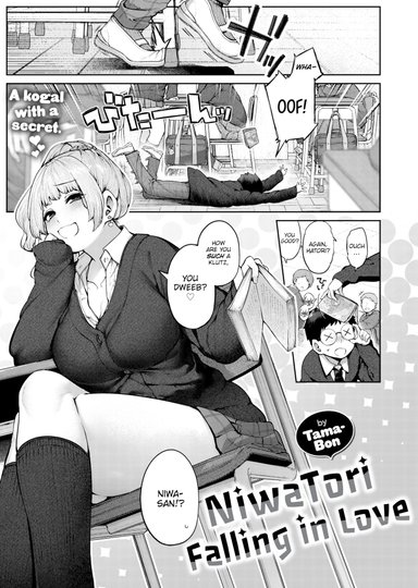 NiwaTori Falling in Love