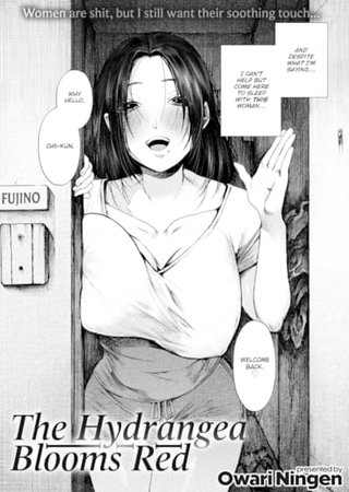 The Hydrangea Blooms Red Hentai Cover Image