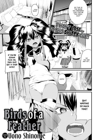 Birds of a Feather