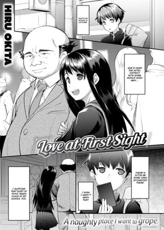 Love at First Sight Hentai Cover Image