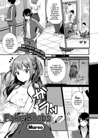 Fake Boobs Hentai Cover Image