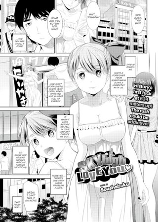 Sky-High Love You Hentai Cover Image