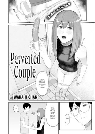 Perverted Couple Hentai Cover Image