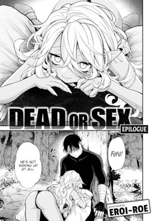 Dead or Sex Epilogue Hentai Cover Image