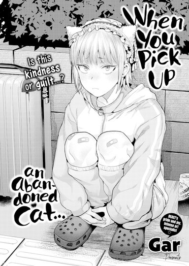 When You Pick Up an Abandoned Cat...