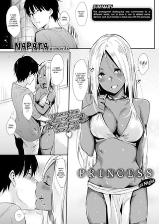 Princess at Night Hentai Cover Image