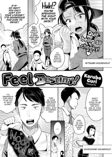 Feel Destiny!