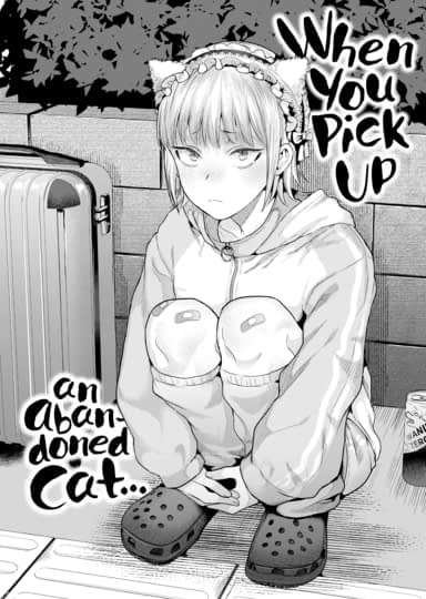 When You Pick Up an Abandoned Cat...
