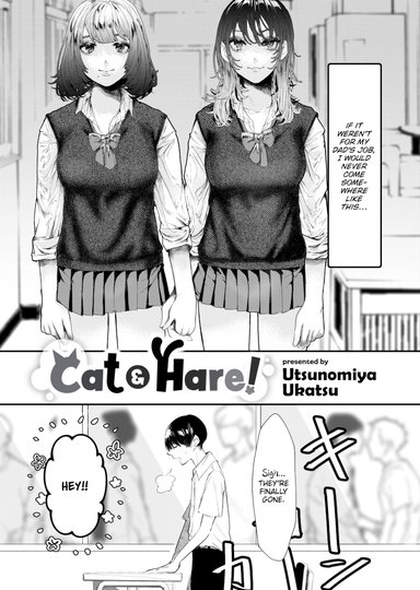 Cat & Hare!