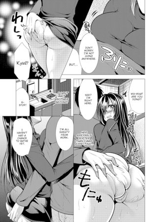 Voyeur 6 Hentai Cover Image