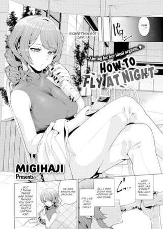 How to Fly at Night Hentai Cover Image