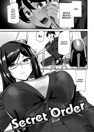 Secret Order Hentai Cover Image